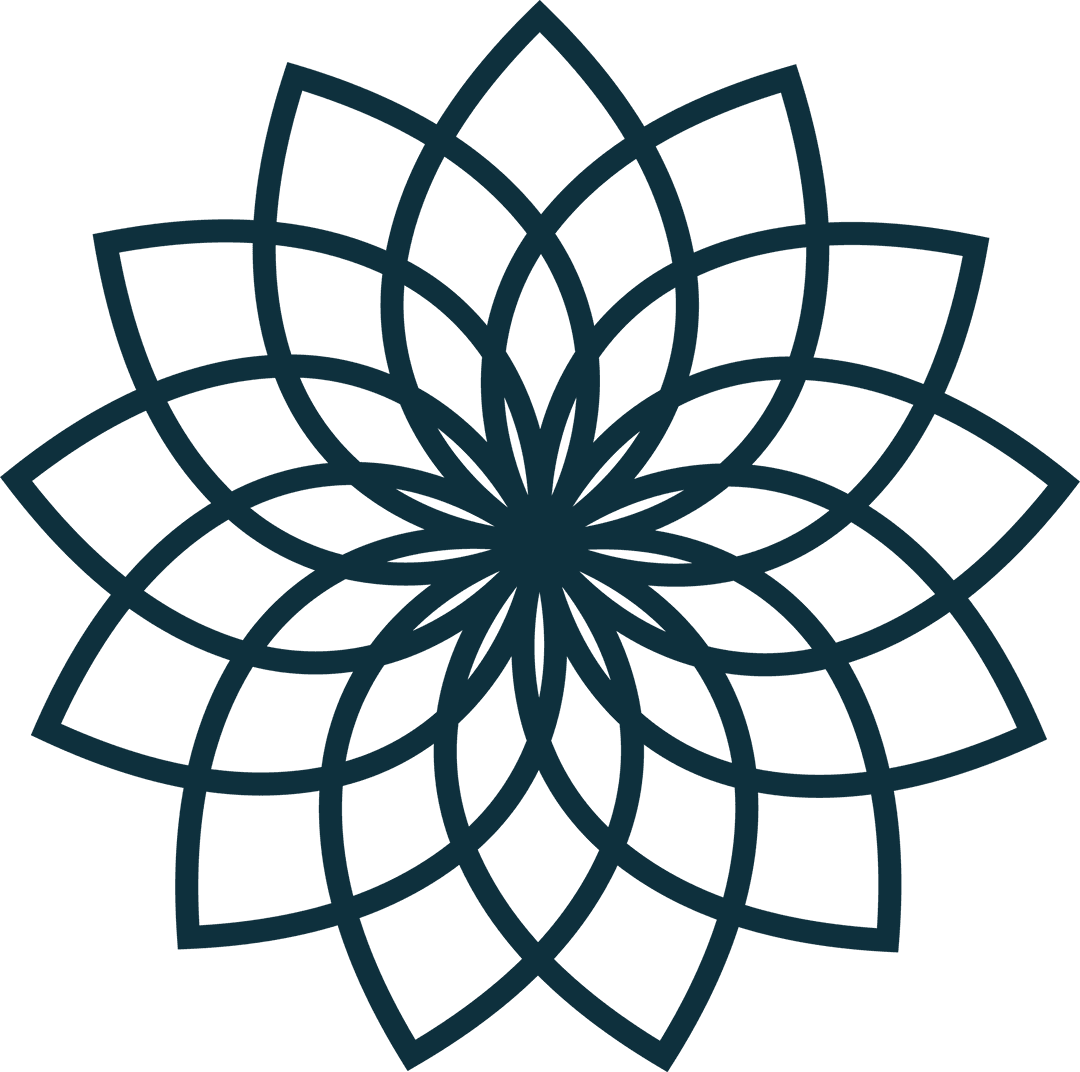 Transparent Floral Mandala Design Vector