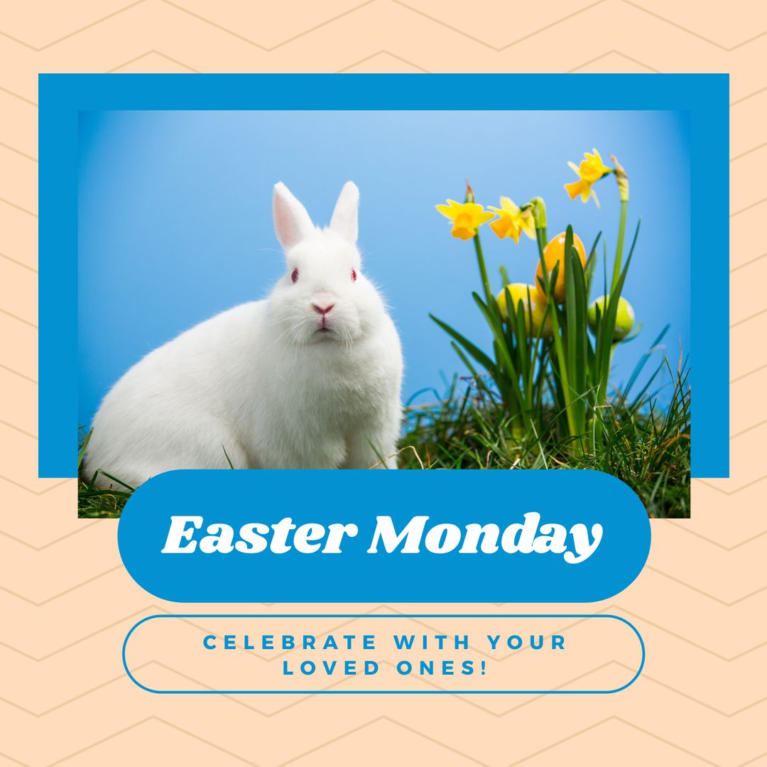 Easter Monday Celebration with Cute White Rabbit and Daffodils