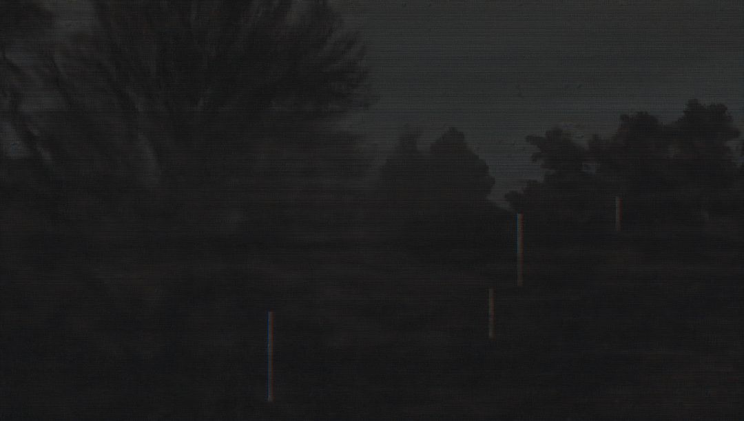 Moody Nocturnal Field with Tree and Fence Posts Under Dim Sky