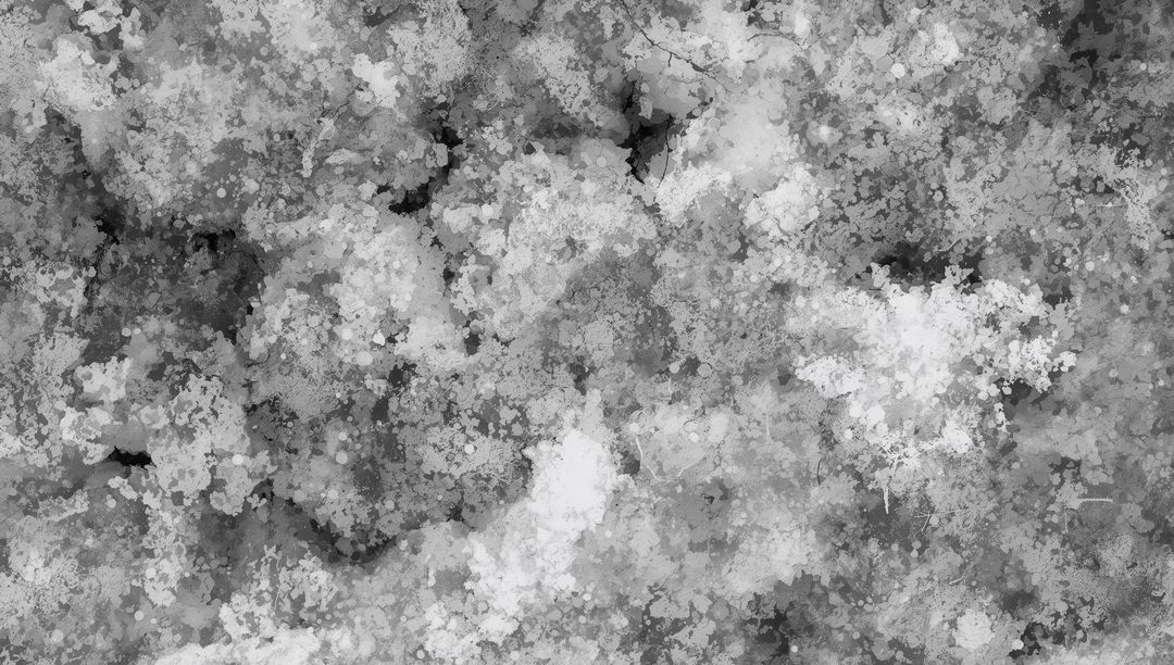 Grayscale Ink Blot Texture with Granular Speckle and Vein-Like Streaks