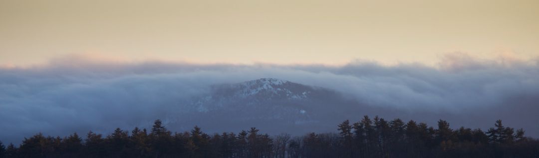 Misty Mountain Range at Sunrise with Pine Forest - Free Images, Stock Photos and Pictures on Pikwizard.com