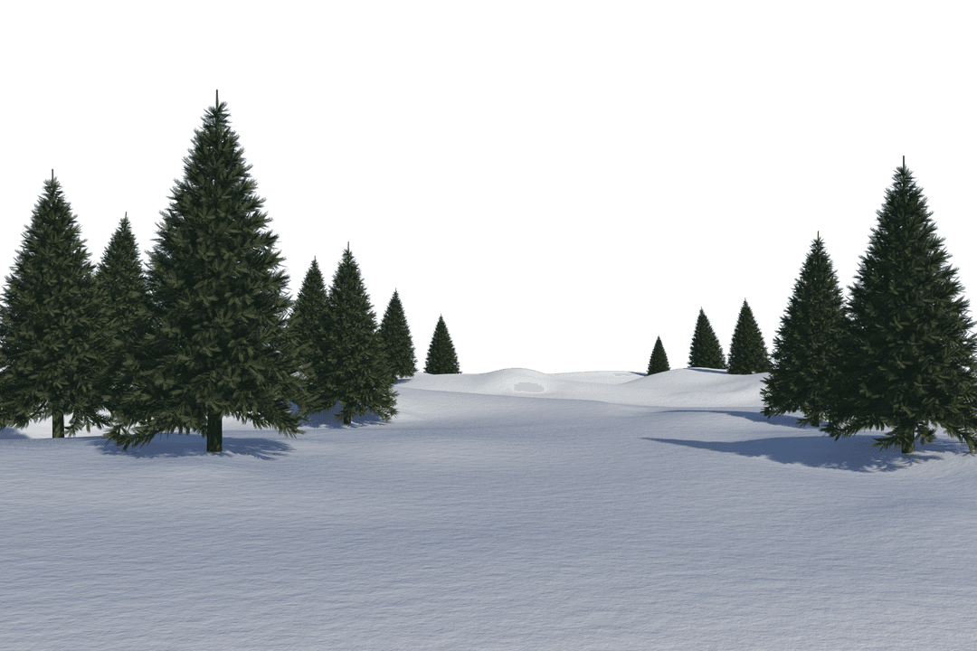 Transparent Snowy Pine Forest Scene with Blue Sky