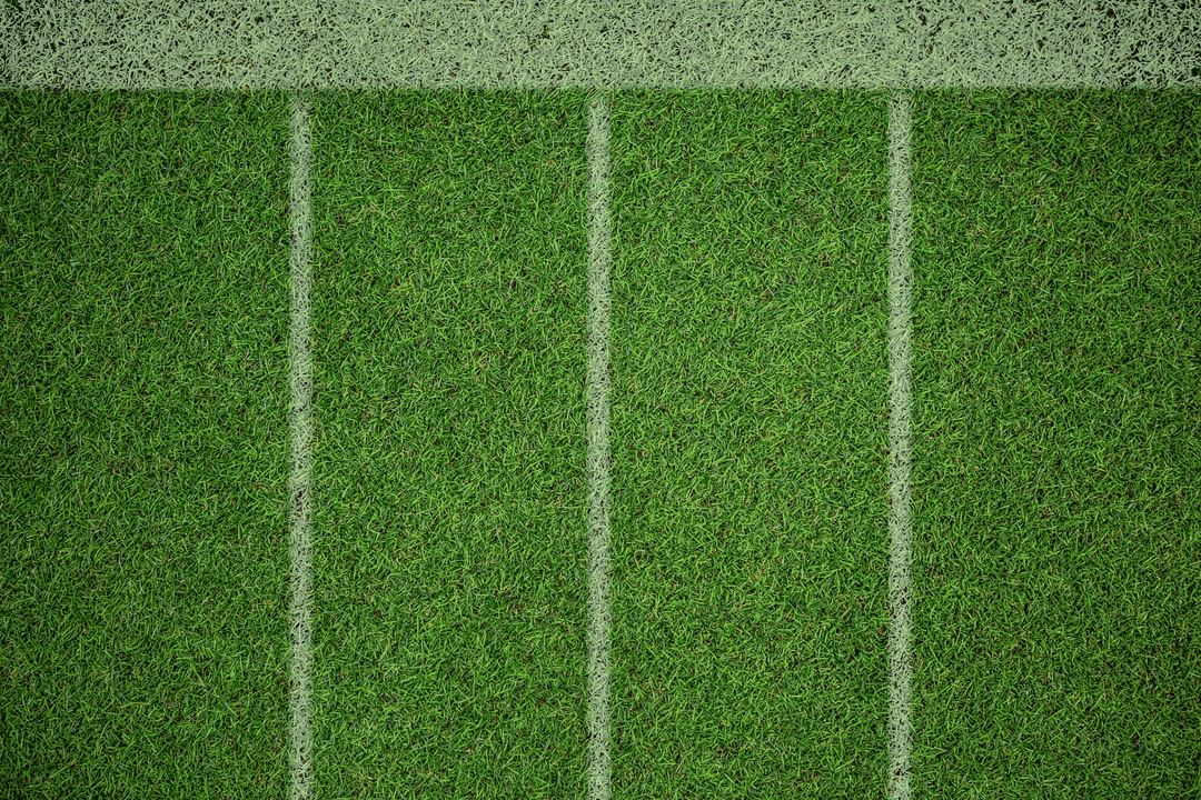Transparent Vector of Sport Court with Grassy Texture