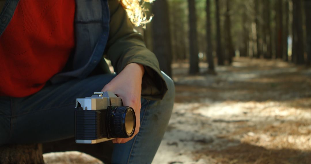 Person Holding Camera in Forest During Daytime - Free Images, Stock Photos and Pictures on Pikwizard.com