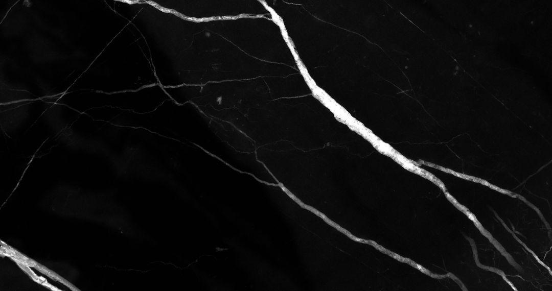 Dynamic Abstract Black Background with Wavy Lines