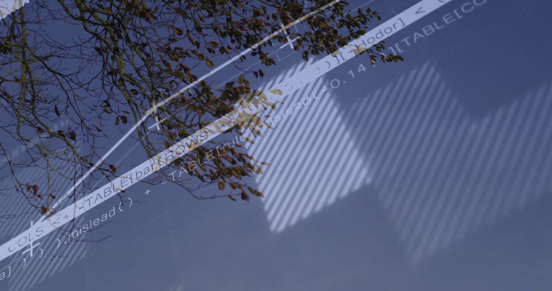 Creative Abstract Reflection of Autumn Leaves with Code Overlay