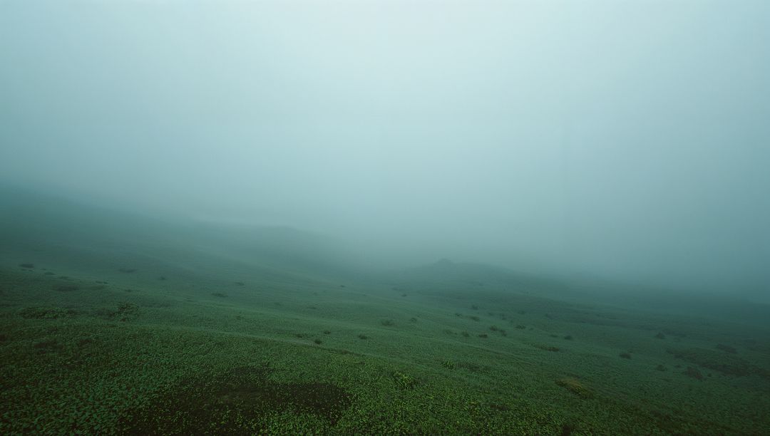 Tranquil Fog Enveloping Mystic Green Hillside