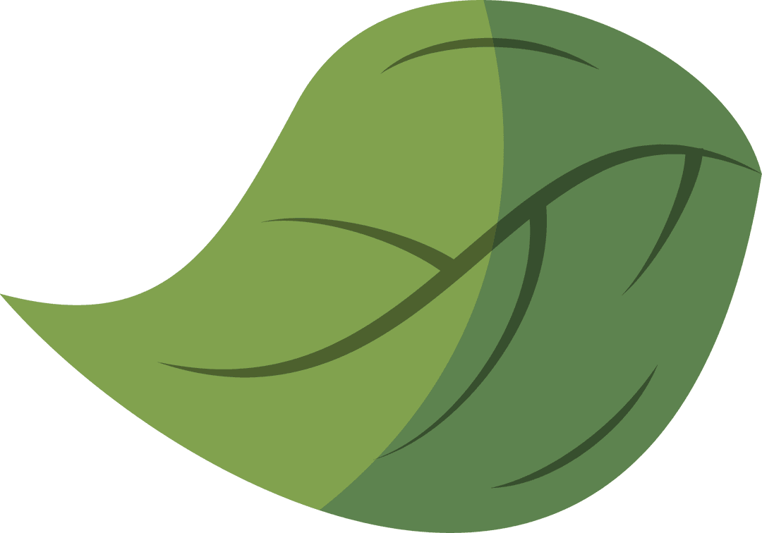 Stylized Dual-Tone Green Leaf Illustration with Transparent Veins