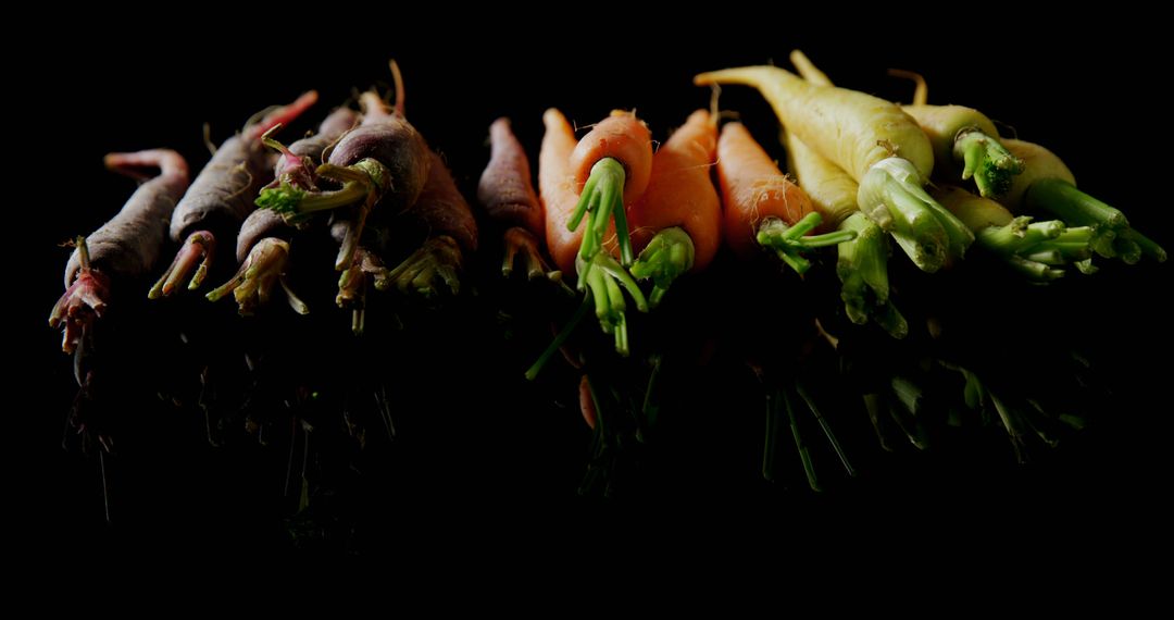 Close-Up of Colorful Heirloom Carrots on Black Background - Free Images, Stock Photos and Pictures on Pikwizard.com