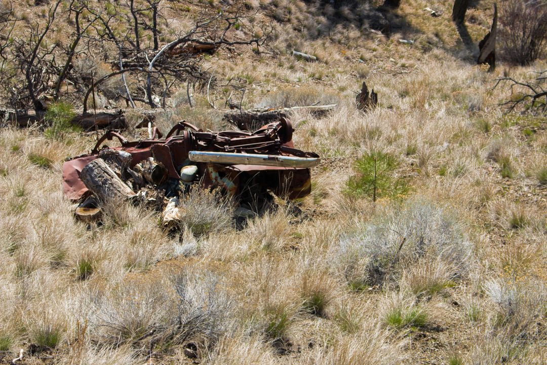 Rusty Abandoned Car Amid Dry Grassy Field - Free Images, Stock Photos and Pictures on Pikwizard.com