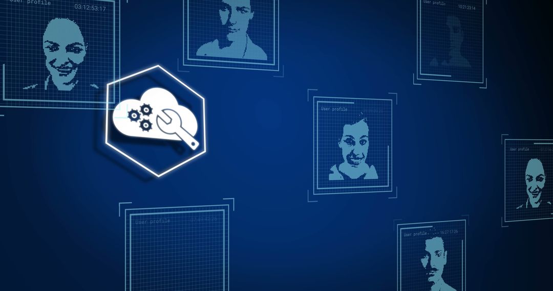 Digital Profiles Representation in Network Data System