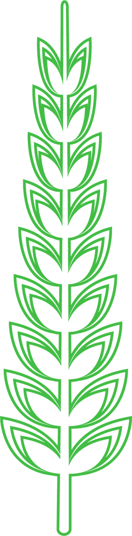 Tall Green Plant Isolated on Transparent Background