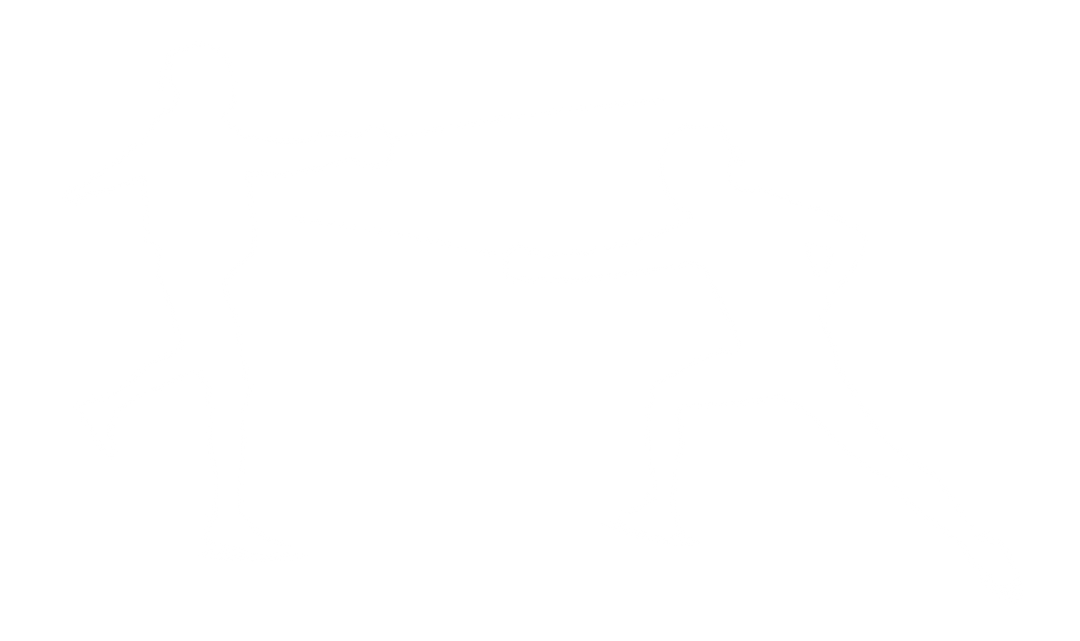 Silhouette of Fencers Fighting on Transparent Background - Download Free Stock Images Pikwizard.com