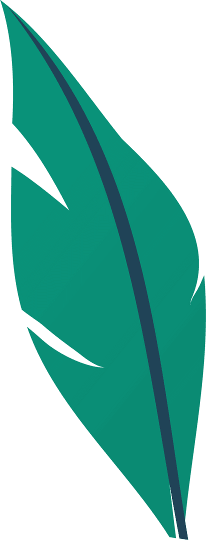 Minimalistic Stylized Feather Illustration on Transparent Background