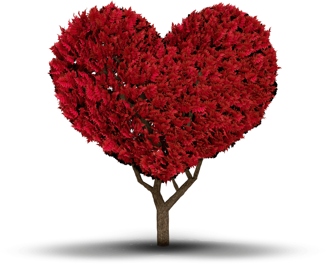 Heart Shaped Tree Transparent Design Symbolizing Love and Romance