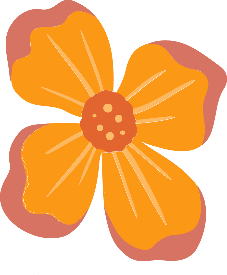 Transcendent Orange Flower Illustration on Transparent Background