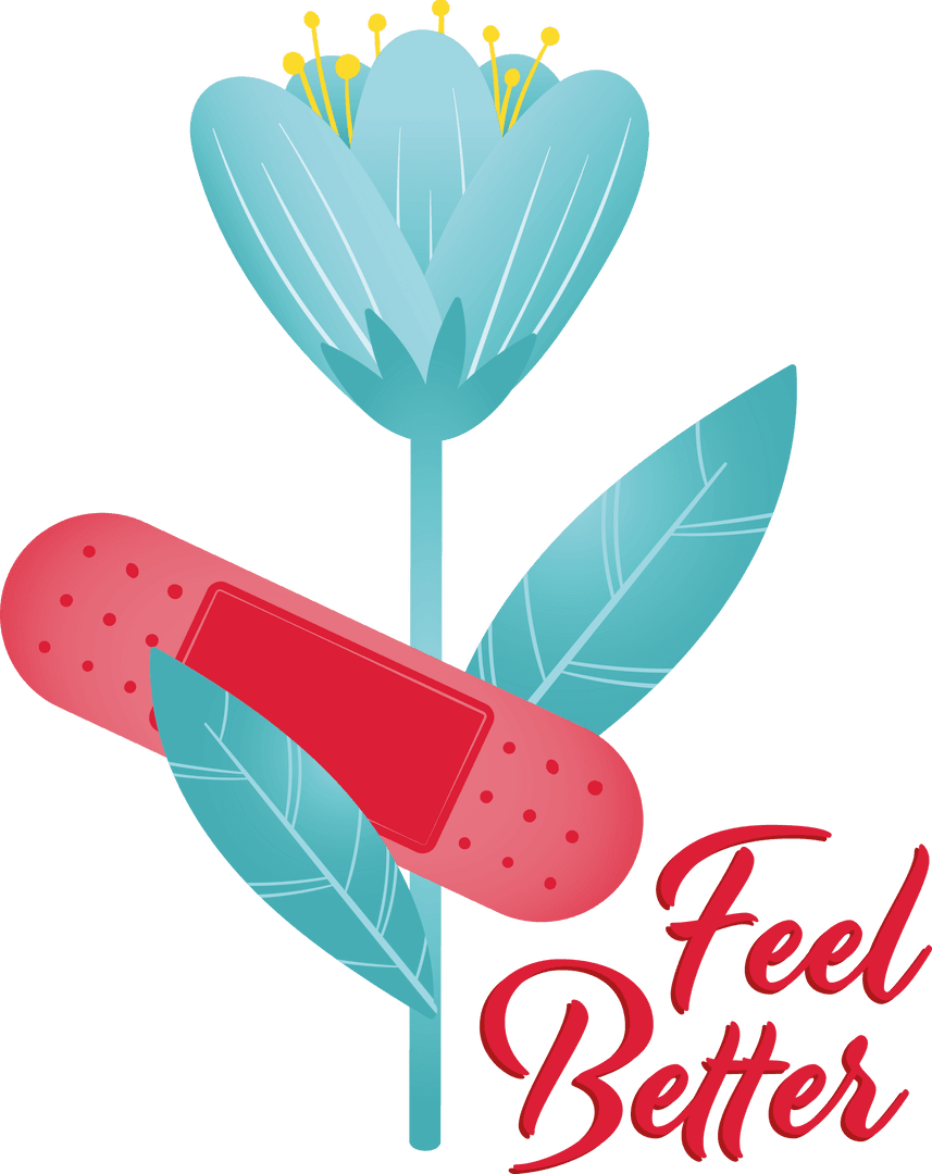 Feel Better Text with Bandage and Bloom on Transparent Background - Download Free Stock Images Pikwizard.com