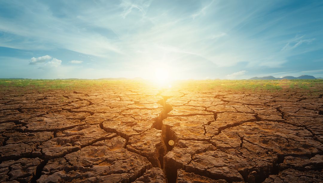 Cracked Earth Forming Deep Fissure at Sunrise Showing Severe Drought and Soil Erosion