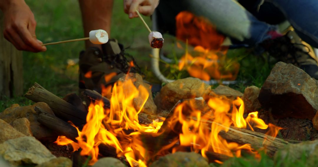 Friends Roasting Marshmallows Over Campfire - Free Images, Stock Photos and Pictures on Pikwizard.com