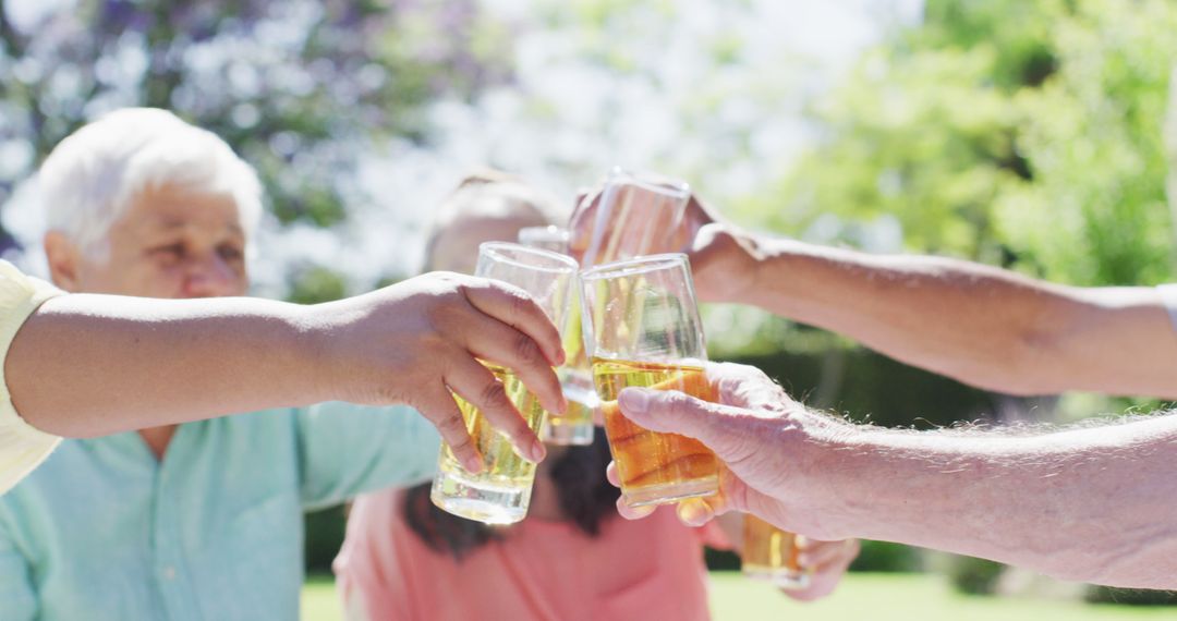 Group of Seniors Enjoying Toast at Outdoor Picnic