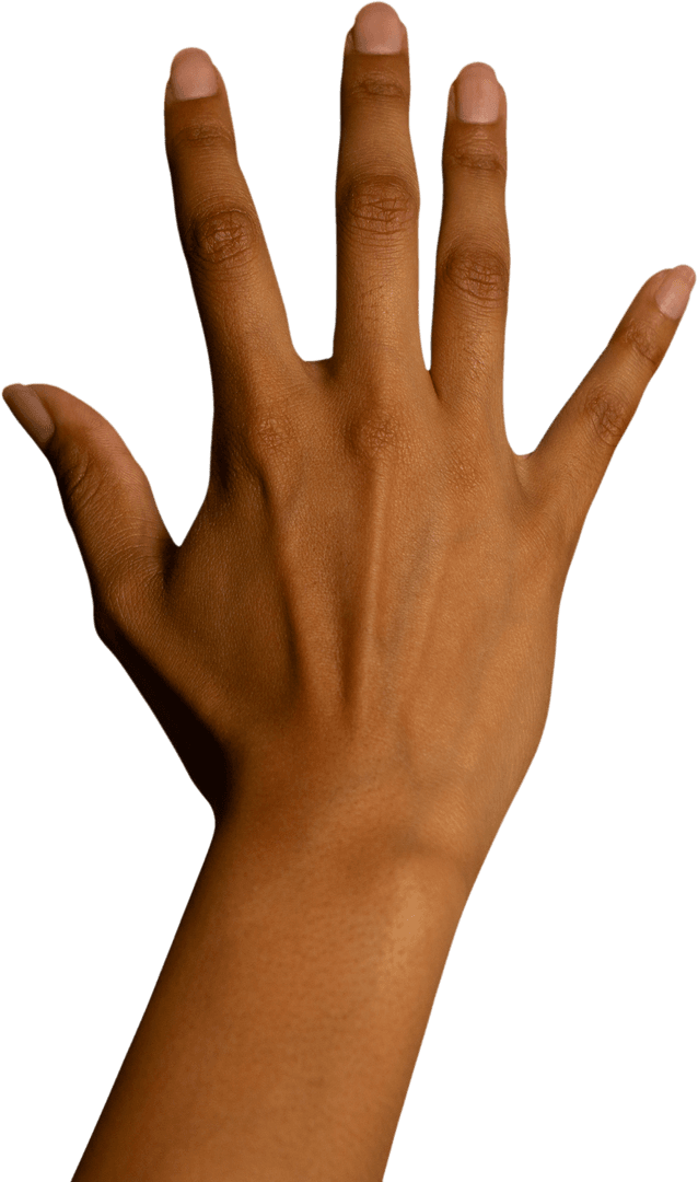 Transparent Hand Gesture Showing Opened Five Fingers