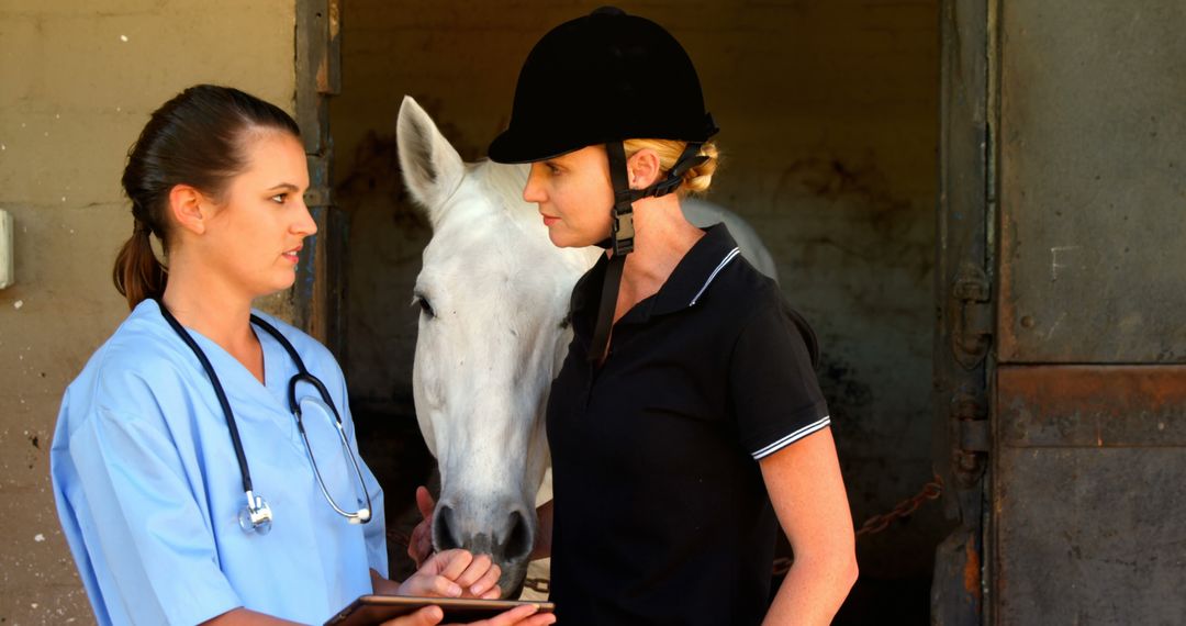 Veterinarian Consulting with Horse Owner at Stable - Free Images, Stock Photos and Pictures on Pikwizard.com