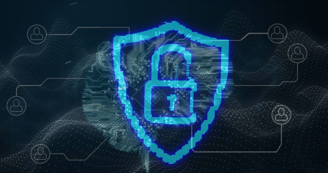 Digital Security and Privacy Virtual Interface