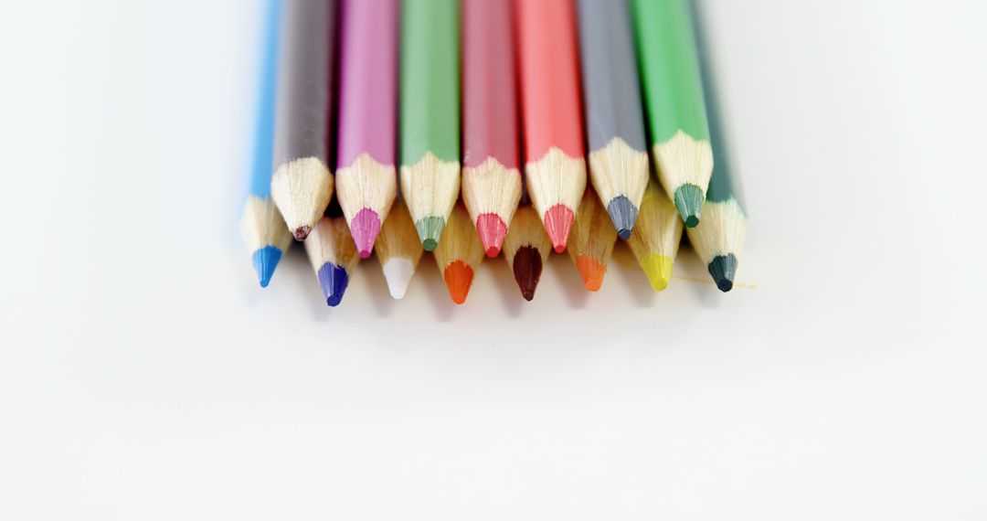 Colorful Assorted Pencils Arranged in Neat Row on White Background - Free Images, Stock Photos and Pictures on Pikwizard.com