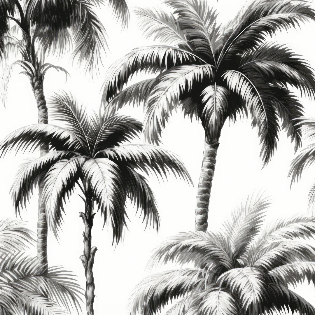 Monochrome Tropical Palm Trees on White Background - Free Images, Stock Photos and Pictures on Pikwizard.com