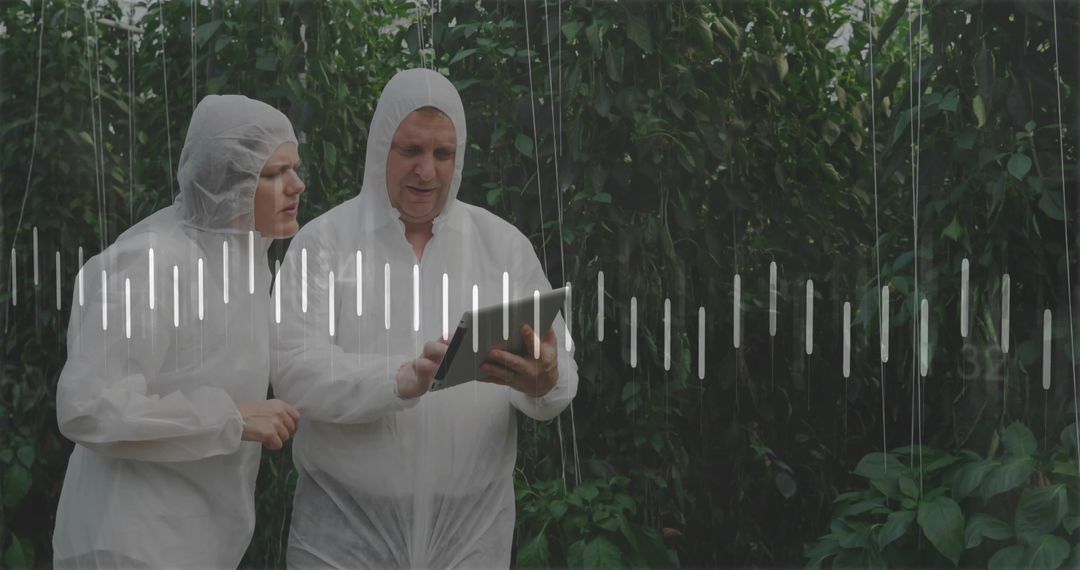 Researchers Using Technology for Greenhouse Plant Monitoring