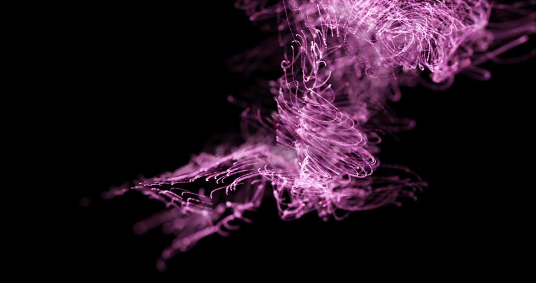 Mesmerizing Pink Light Trails on Black Background