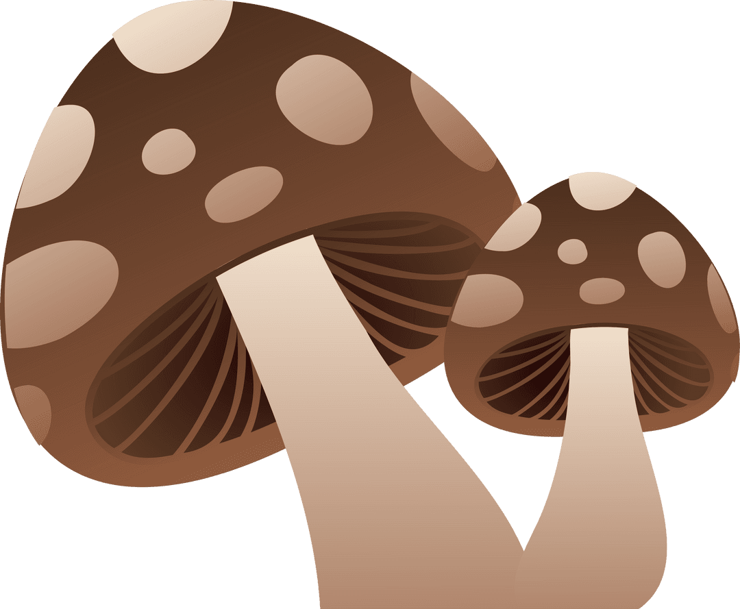 Whimsical Cartoon Mushrooms on Transparent Background