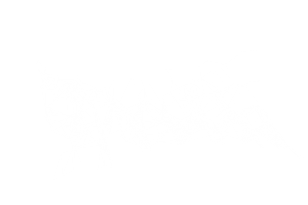 Transparent Network of Connections in Digital Illustration