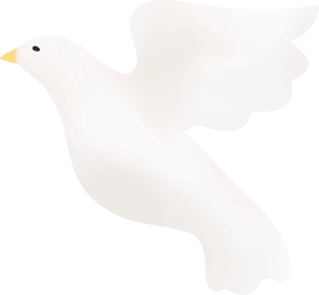 Stylized Dove in Elegant Glide on Transparent Background