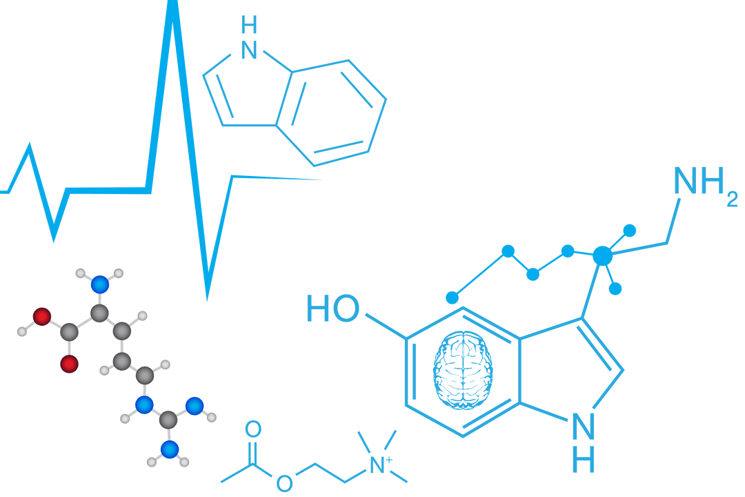 Transparent Illustration of Molecules and Heartbeat Line