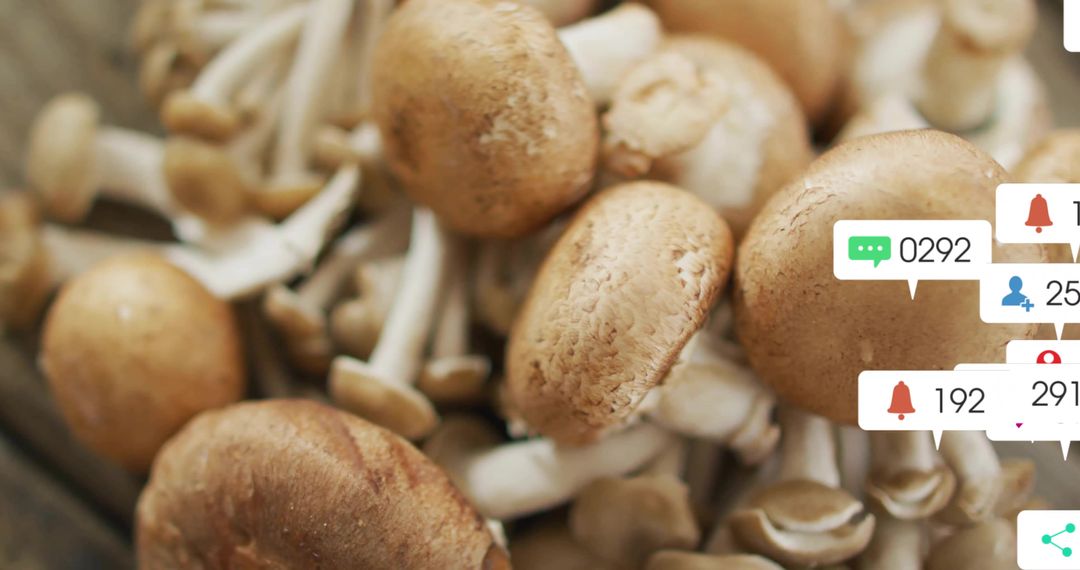 Clusters of Organic Mushrooms with Digital Notifications Overlay