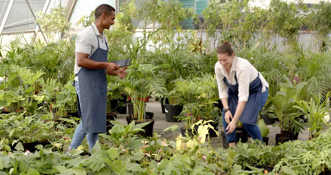Collaborative Horticulture with Coworkers in Greenhouse
