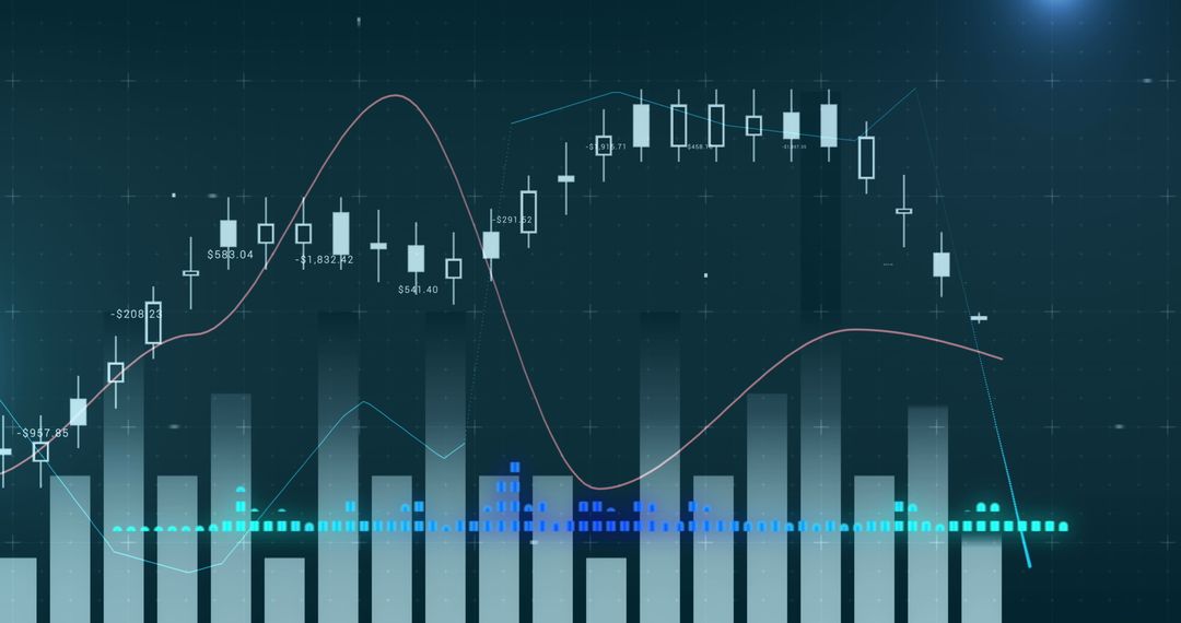 Financial Data Analysis with Bar and Line Graphs