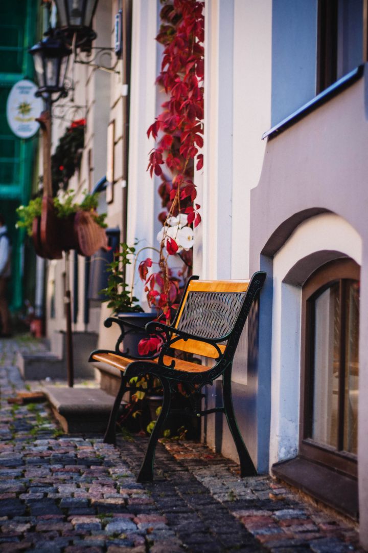 Cozy Bench with Autumn Leaves on Charming Cobblestone Street