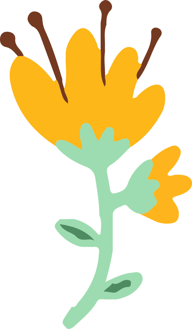 Stylized Yellow Flower Illustration with Transparent Background