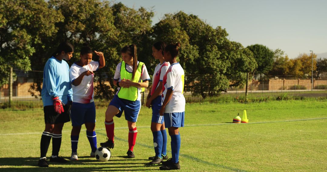 Female Soccer Team Discussing Strategy During Practice on Sunny Day - Free Images, Stock Photos and Pictures on Pikwizard.com