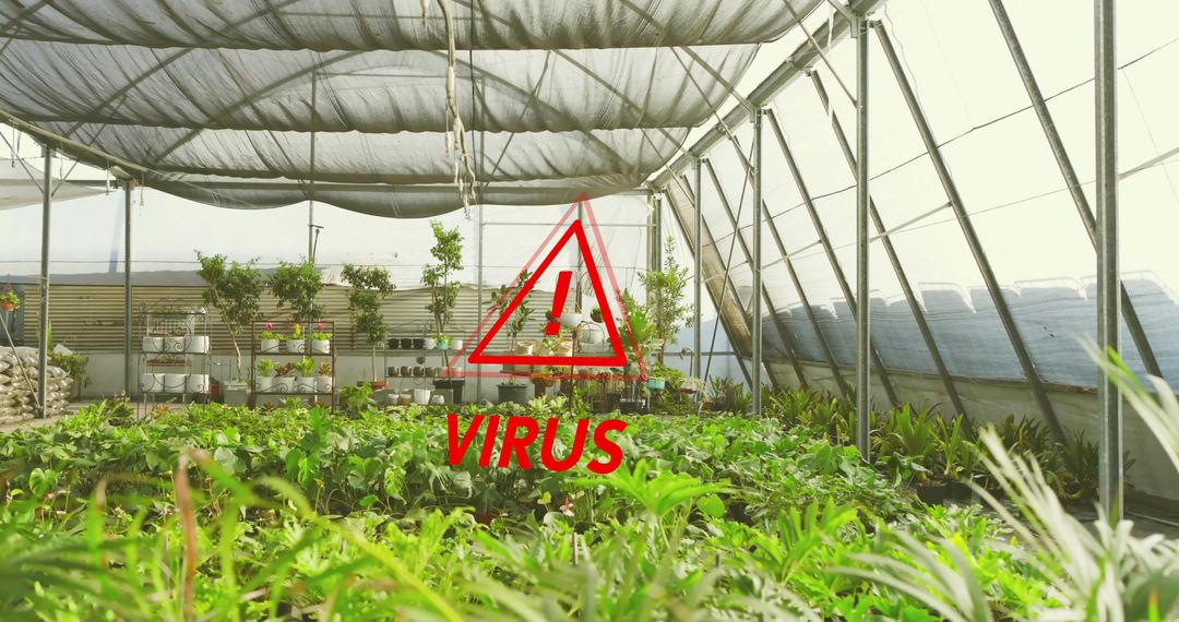Red Warning Triangle Indicating Virus Risk Inside Greenhouse with Seedling Trays