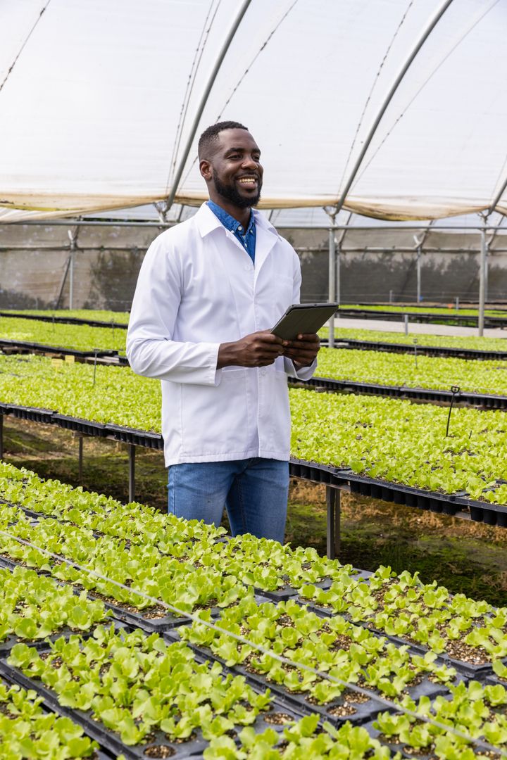 Scientist Examining Seedling Trays with Tablet in Greenhouse