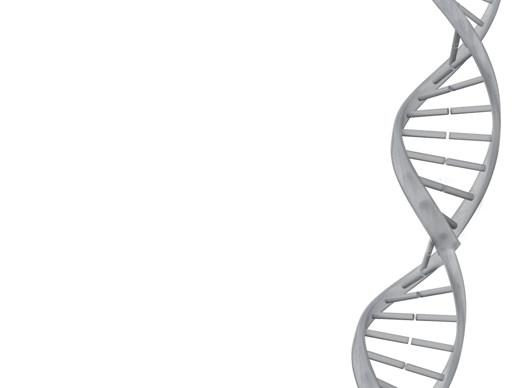 Gray DNA Helix on Transparent Background for Scientific Illustration
