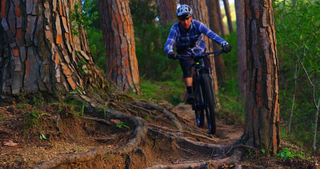 Mountain Biker Navigating Challenging Forest Trail