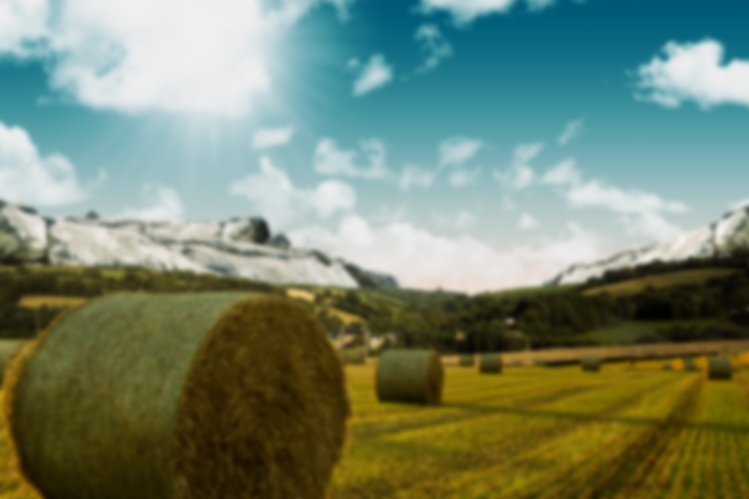 Transparent Hay Bales on Field Under Sunny Sky in Rural Landscape - Download Free Stock Images Pikwizard.com