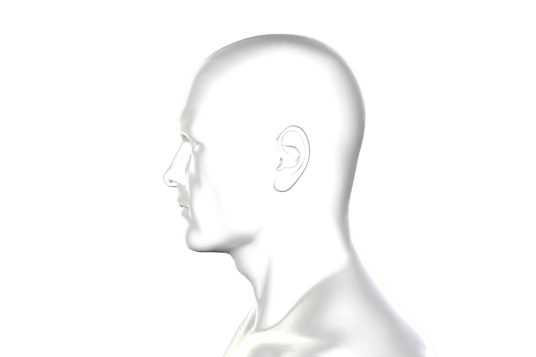 Transparent Abstract Digital Human Silhouette Collage Concept