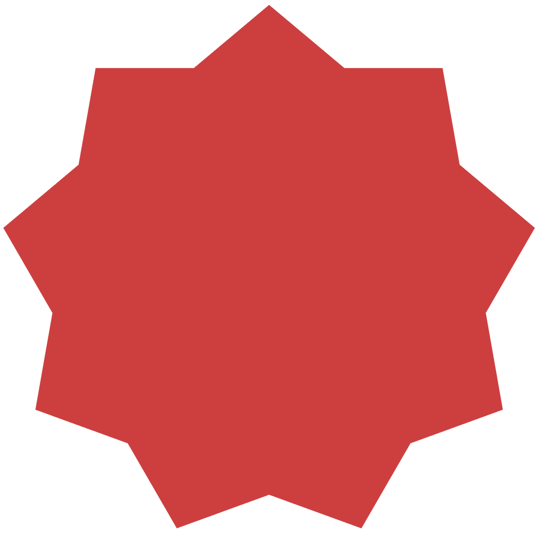 Red Starburst Sign with Copy Space on Transparent Background