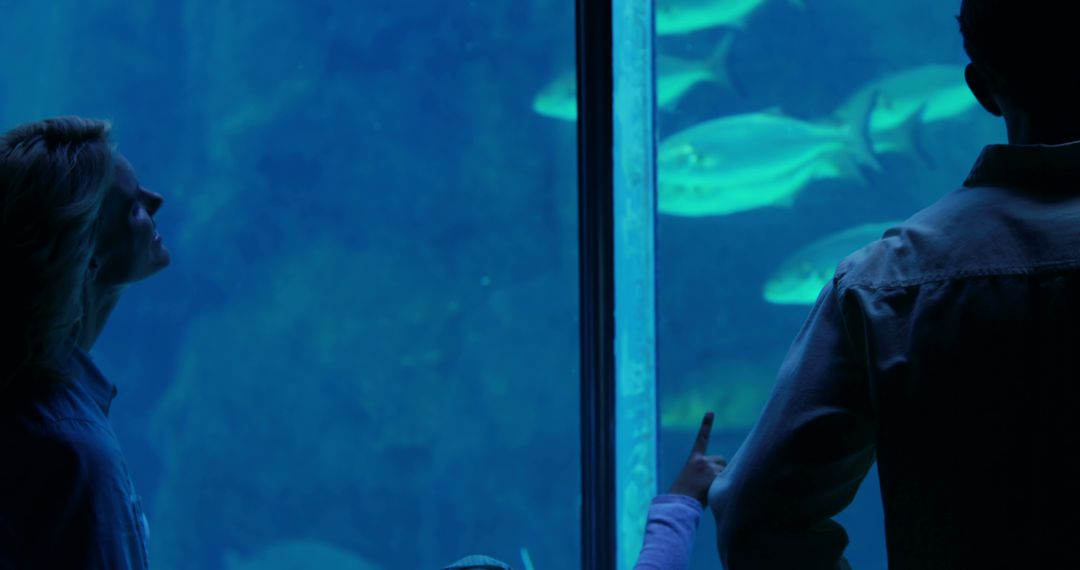 A diverse couple enjoys a serene moment watching fish in an aquarium. - Free Images, Stock Photos and Pictures on Pikwizard.com