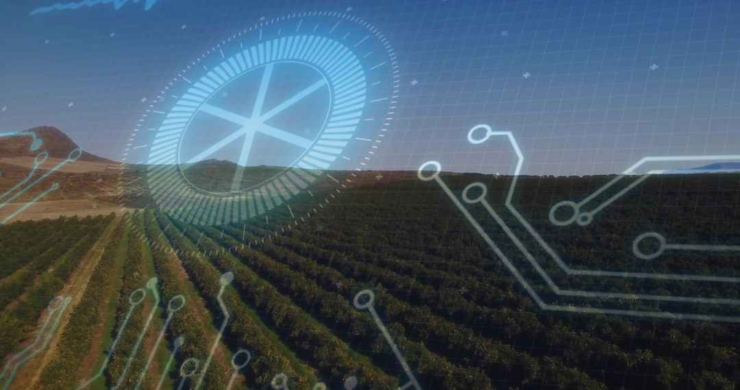 Innovative Vineyard Farming with Digital Technology Integration